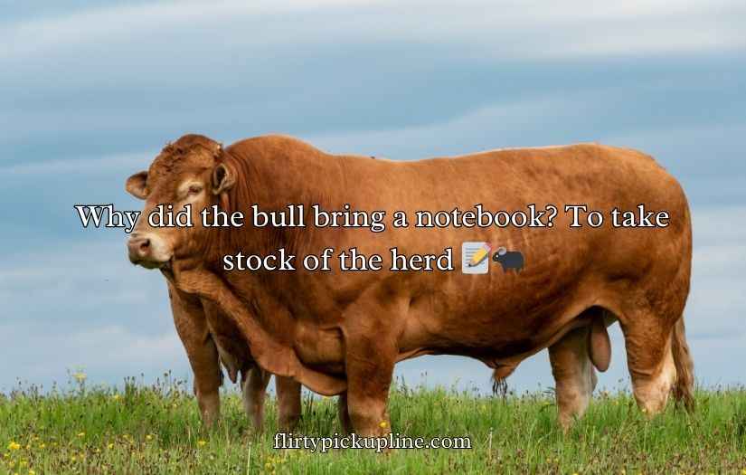 Bull Puns