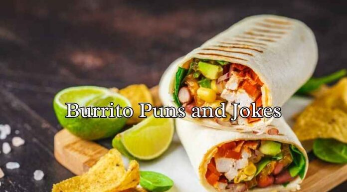 Burrito Puns and Jokes Burrito Puns and Jokes