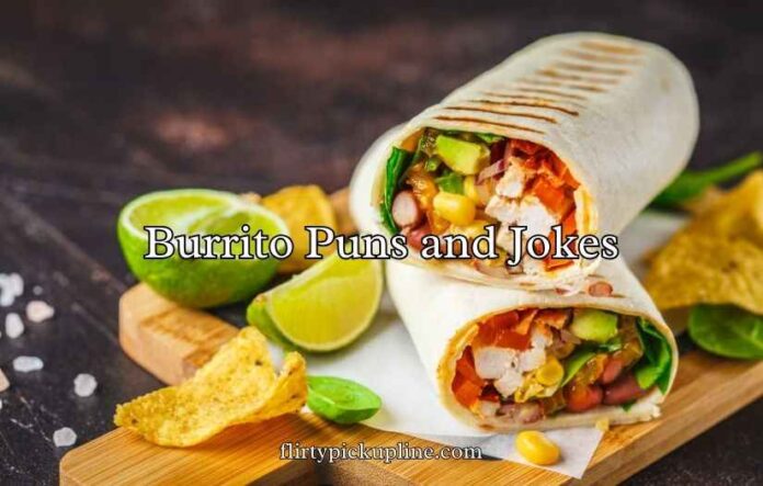 Burrito Puns and Jokes