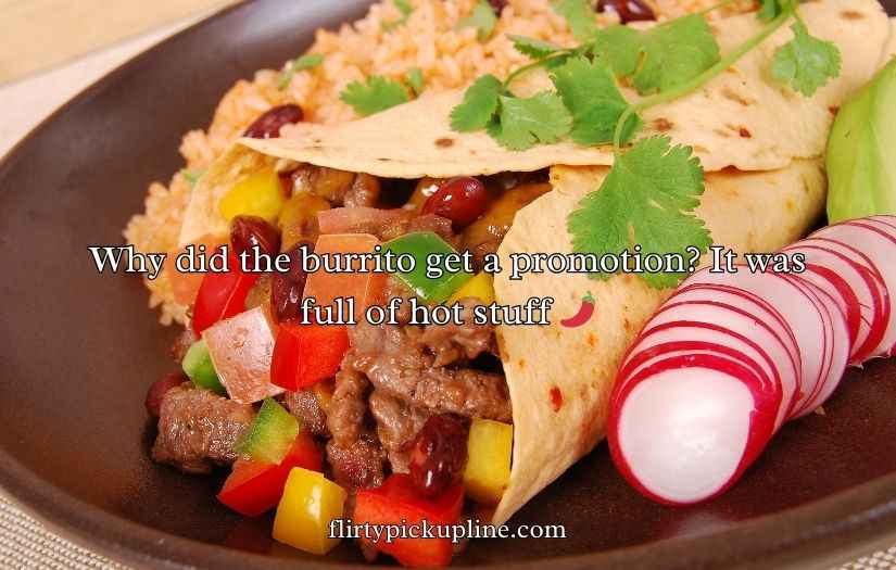 Burrito Puns and Jokes
