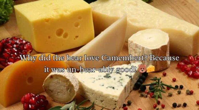 Camembert Puns Camembert Puns