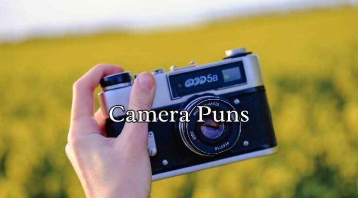Camera Puns Camera Puns