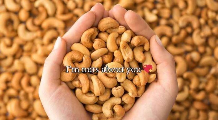 Cashew Puns Cashew Puns