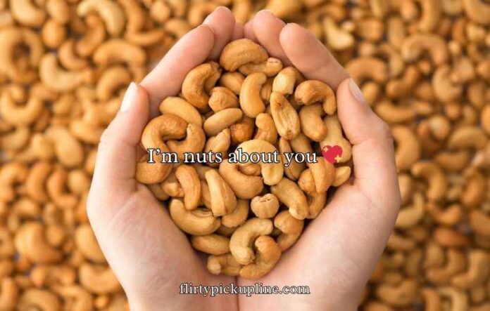Cashew Puns Cashew Puns