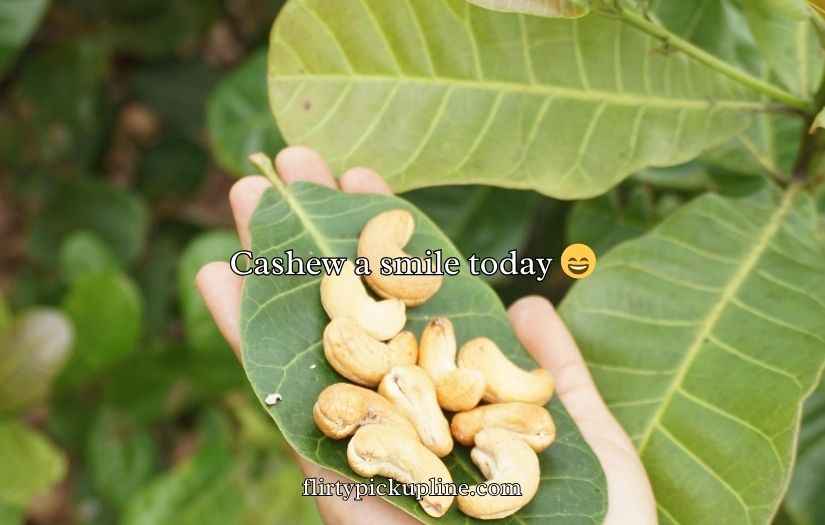 Cashew Puns