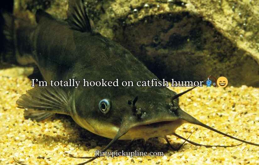 Catfish Puns and Jokes
