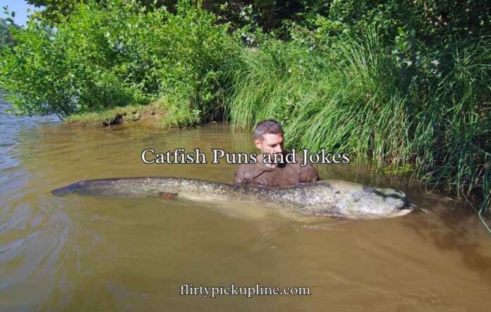 Catfish Puns and Jokes