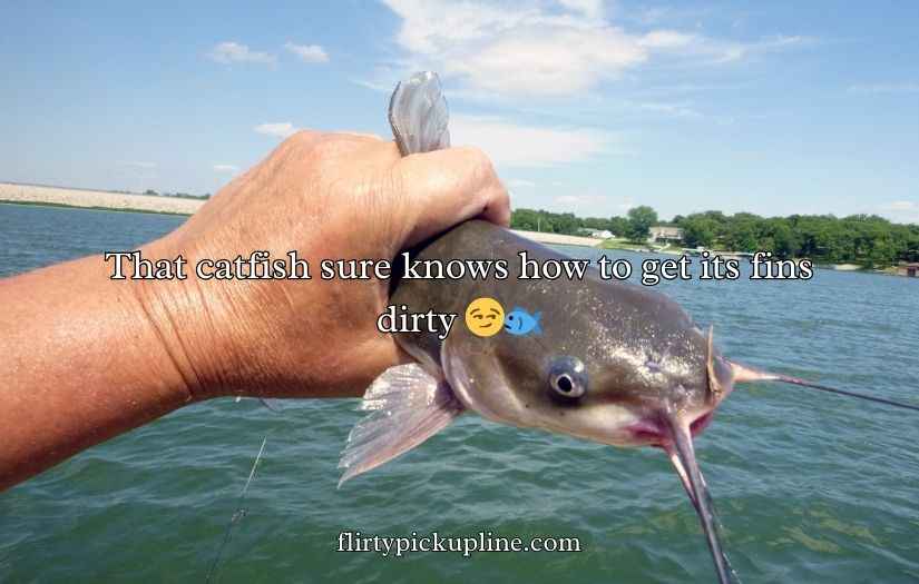 Catfish Puns and Jokes