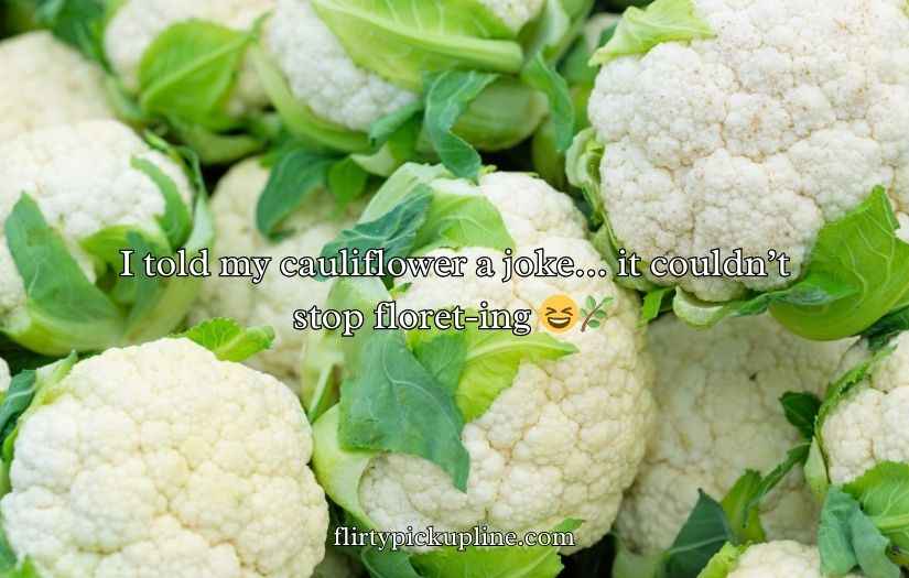 Cauliflower Puns and Jokes