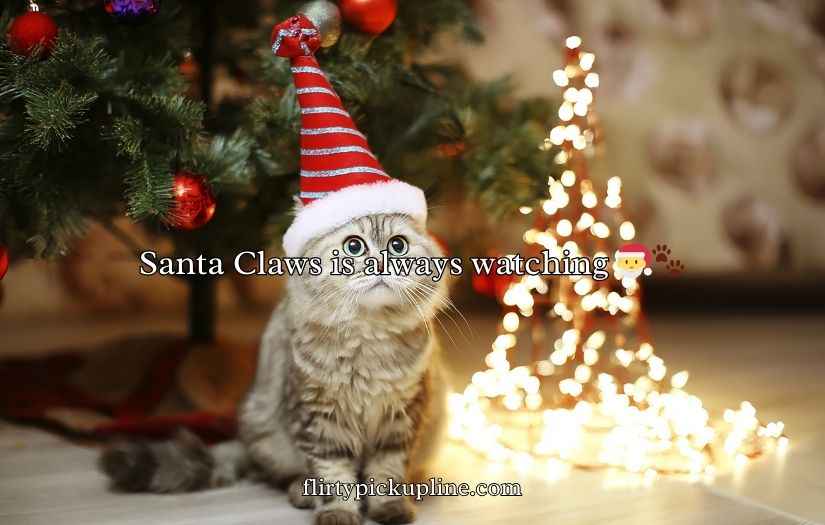 Christmas Cat Puns