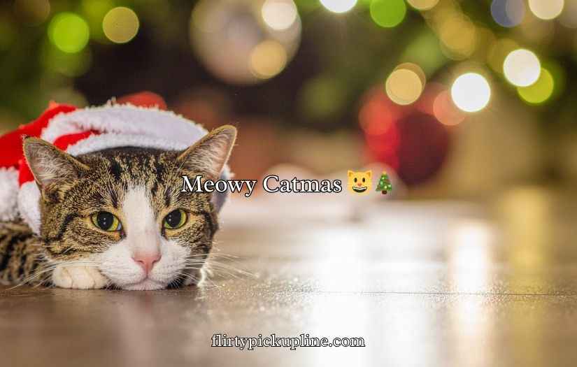 Christmas Cat Puns
