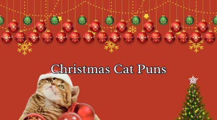 Christmas Cat Puns Christmas Cat Puns