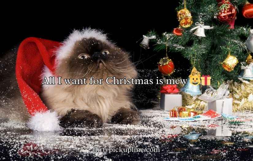 Christmas Cat Puns