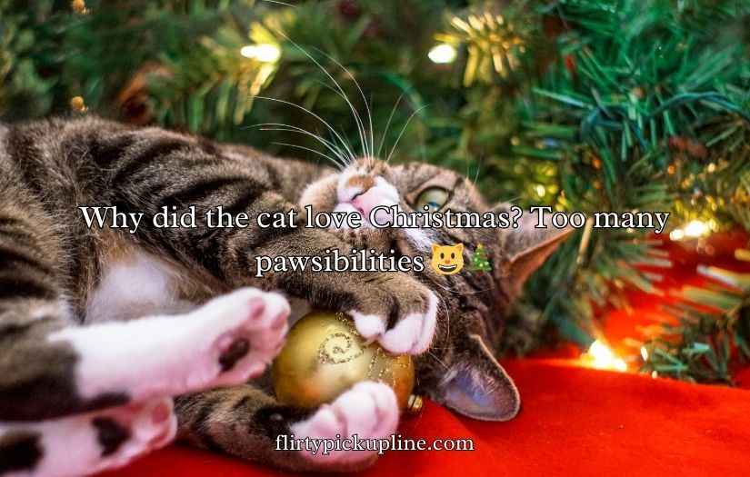 Christmas Cat Puns
