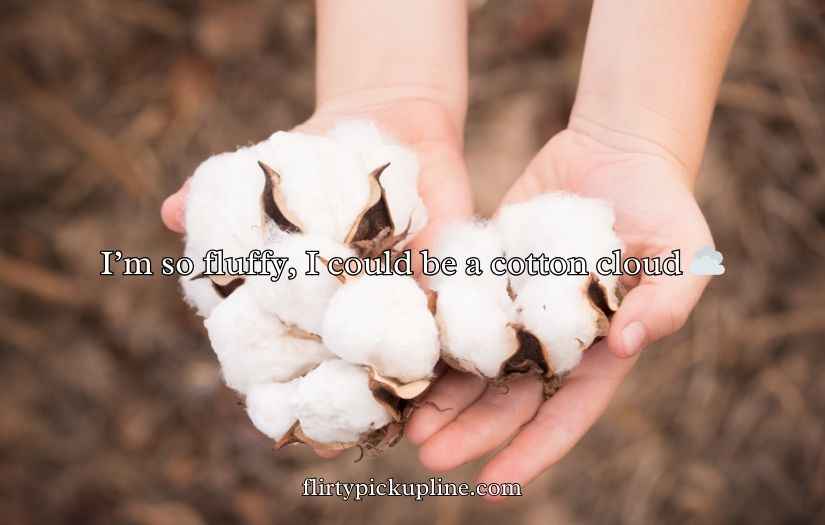 Cotton Puns