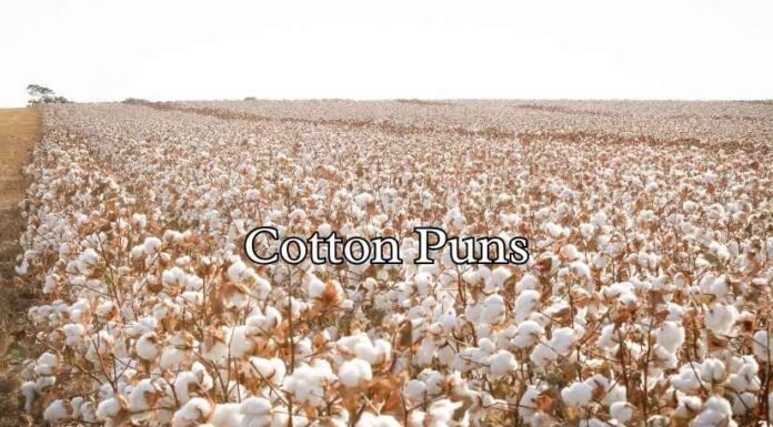 Cotton Puns Cotton Puns