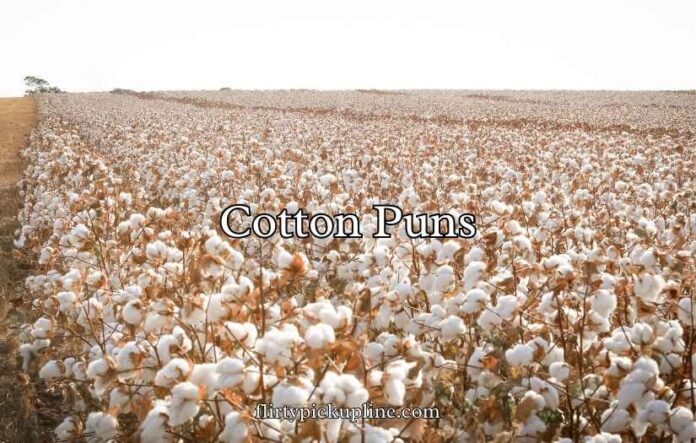 Cotton Puns