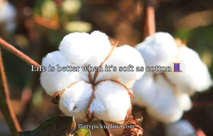 Cotton Puns
