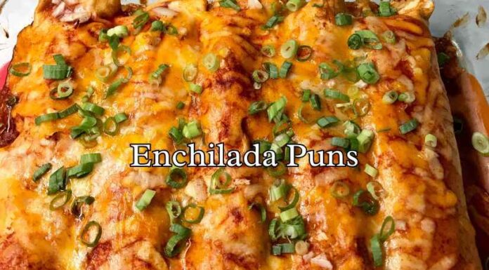 Enchilada Puns Enchilada Puns