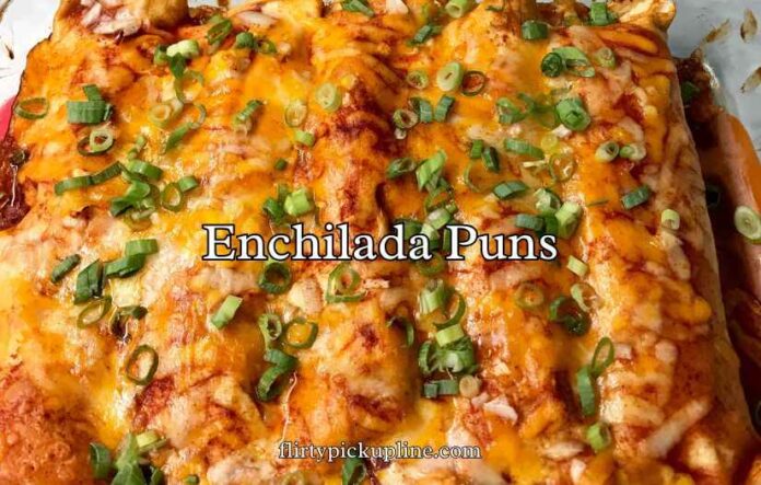 Enchilada Puns