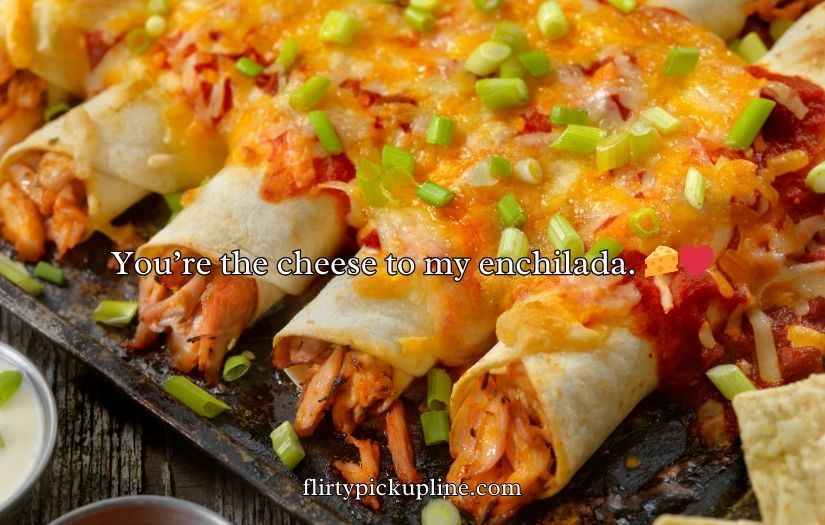 Enchilada Puns
