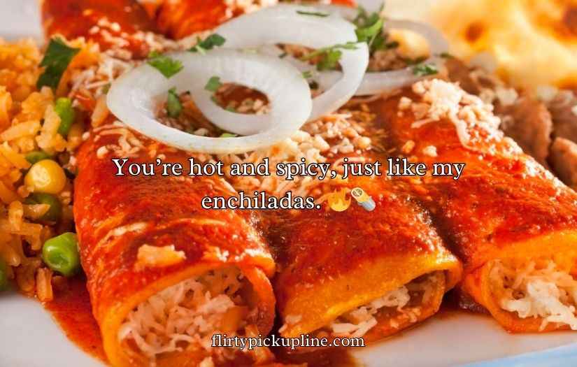 Enchilada Puns