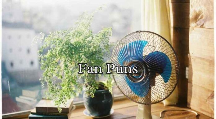 Fan Puns Fan Puns
