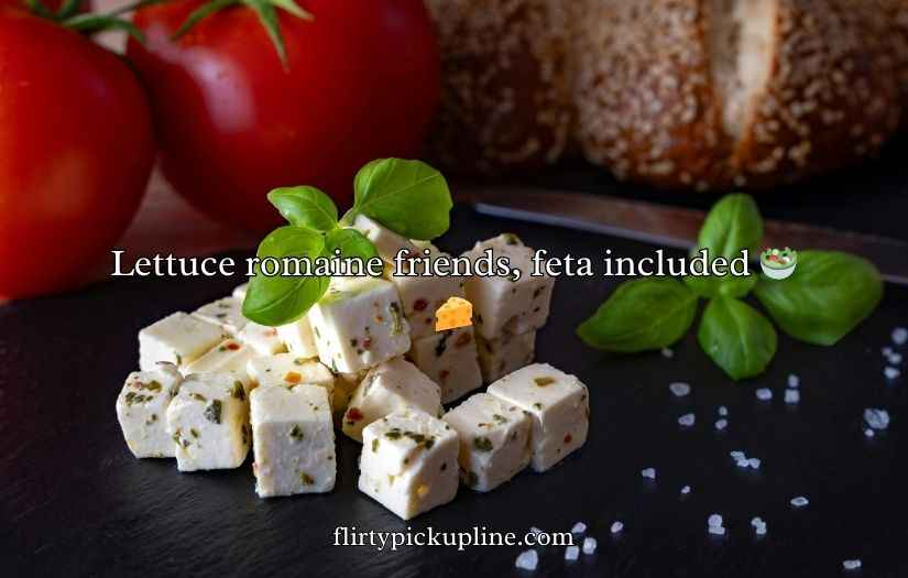 Feta Puns And Jokes