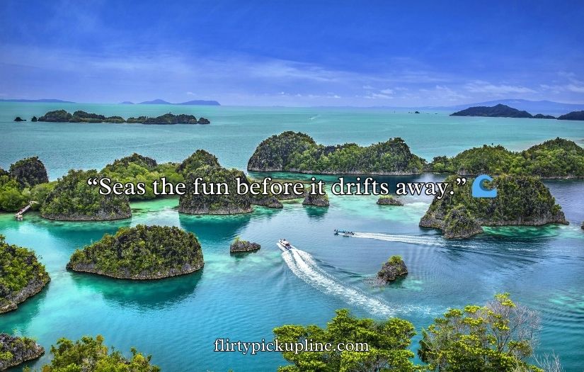 Funny Island Puns