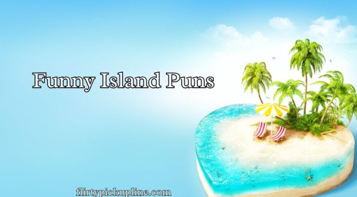 Funny Island Puns Funny Island Puns