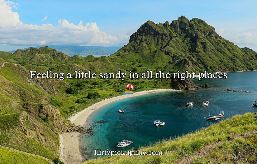 Funny Island Puns