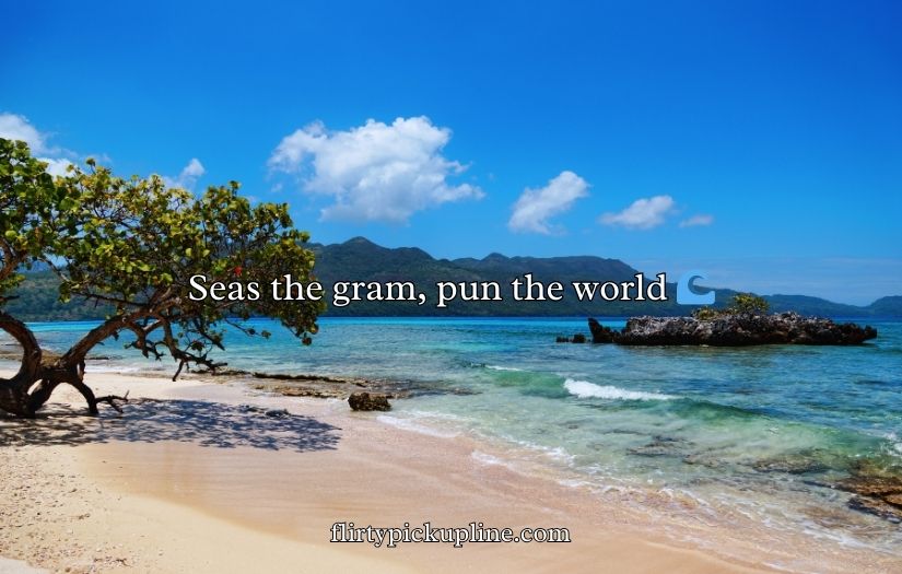 Funny Island Puns