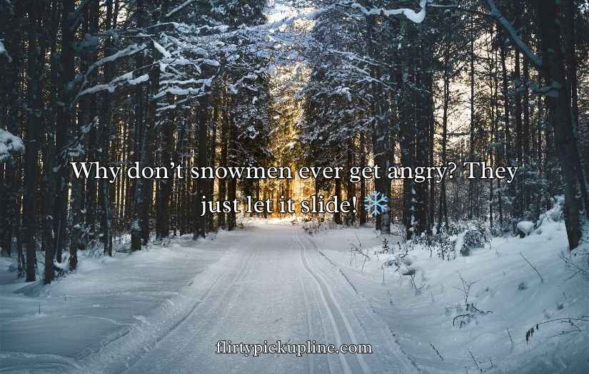 Funny Winter Puns and Jokes