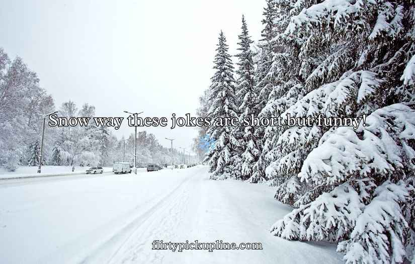 Funny Winter Puns and Jokes