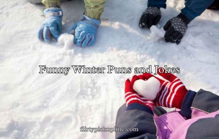 Funny Winter Puns and Jokes
