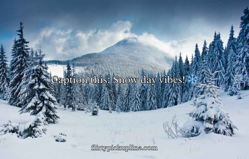 Funny Winter Puns and Jokes