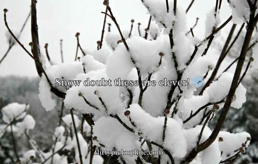 Funny Winter Puns and Jokes