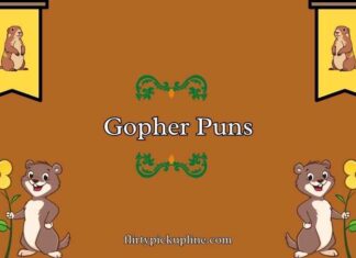 Gopher Puns Gopher Puns
