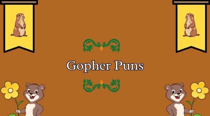 Gopher Puns Gopher Puns