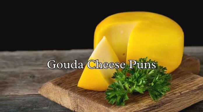 Gouda Cheese Puns Gouda Cheese Puns