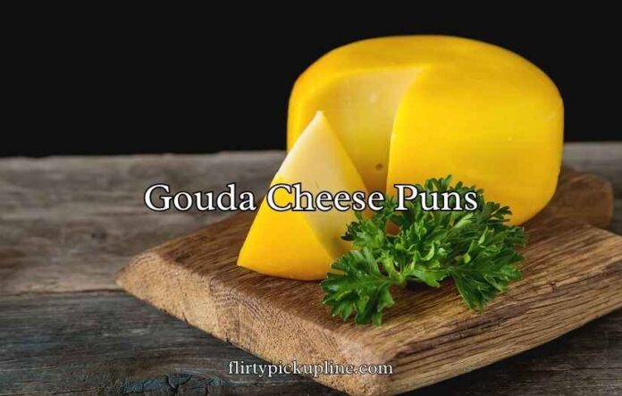 Gouda Cheese Puns