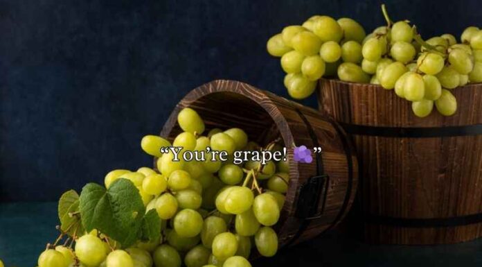 Grape Puns Grape Puns