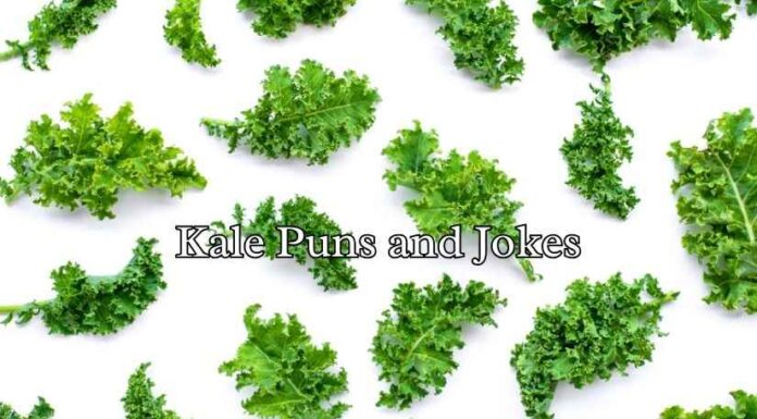Kale Puns and Jokes Kale Puns and Jokes