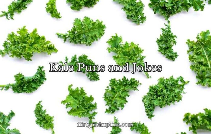 Kale Puns and Jokes
