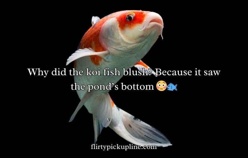 Koi Fish Puns and Jokes