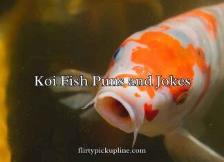 Koi Fish Puns and Jokes Koi Fish Puns and Jokes
