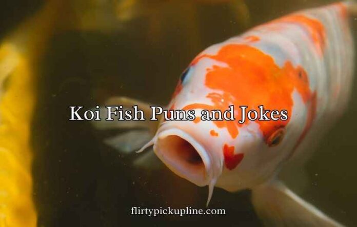 Koi Fish Puns and Jokes