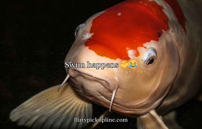 Koi Fish Puns and Jokes