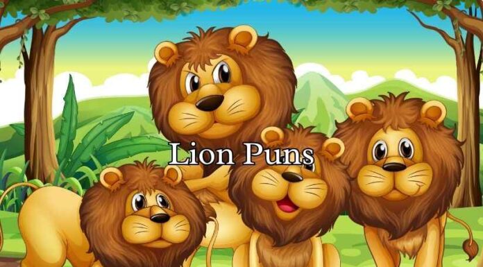 Lion Puns Lion Puns