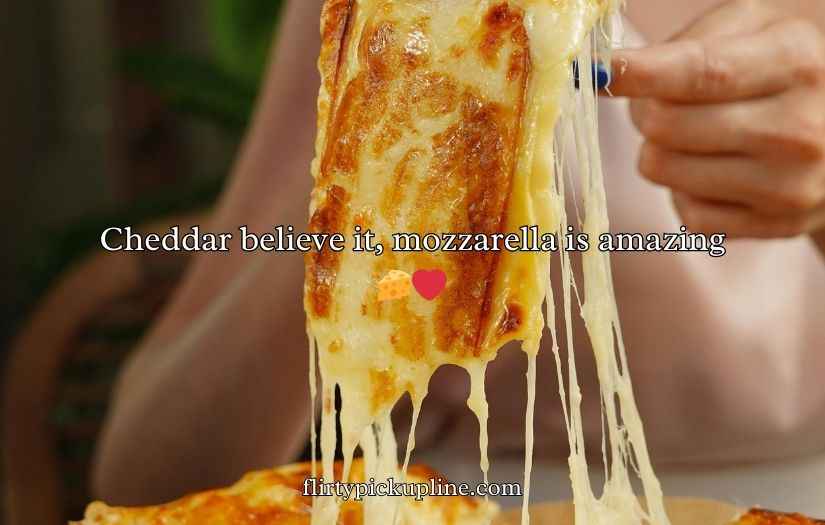 Mozzarella Puns